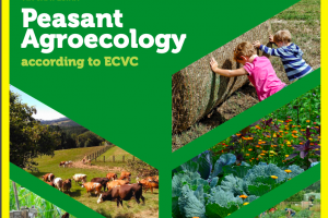 Peasant Agroecology, European Coordination Via Campesina